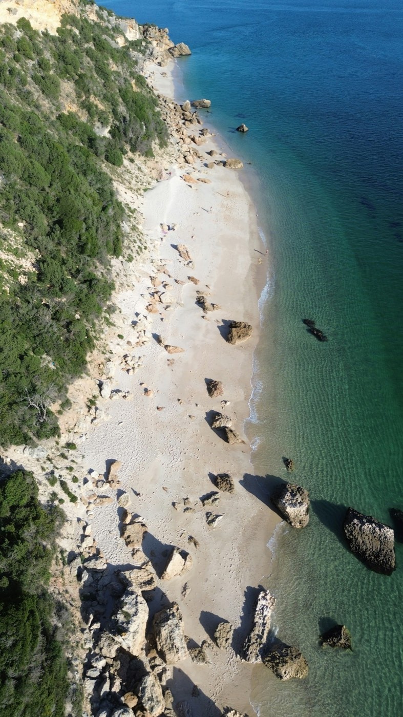 Tour privado Arrábida e Sesimbra desde Lisboa
